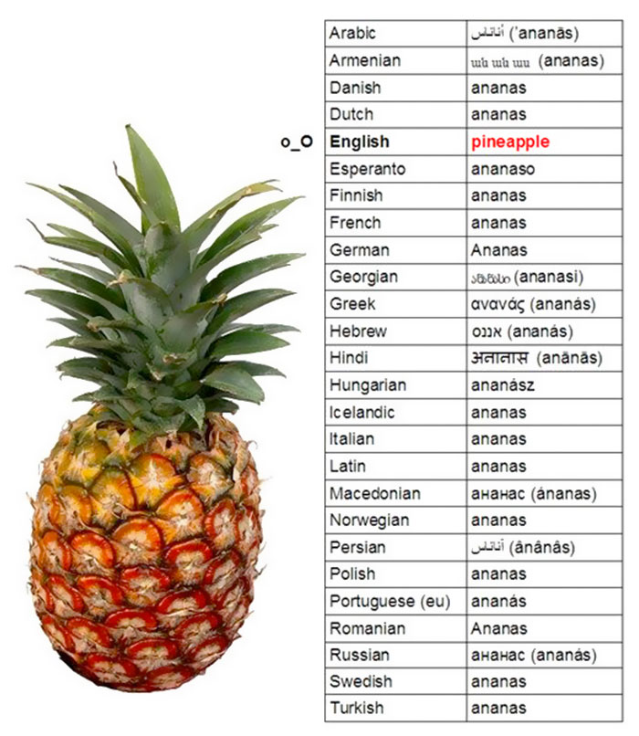 English language joke about pineapple