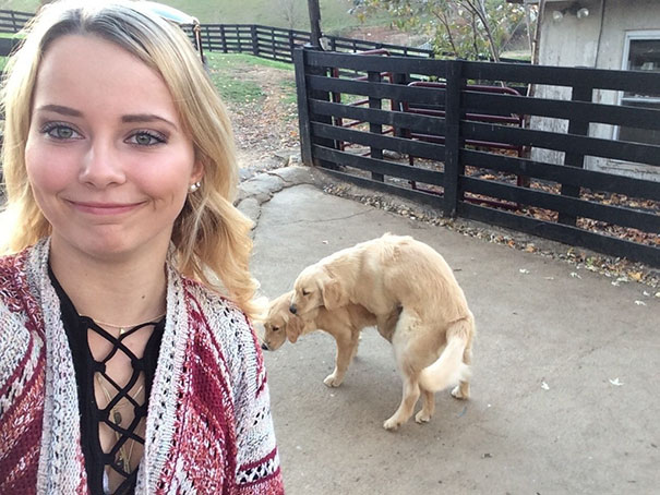 Woman taking a selfie in front of the dogs making out
