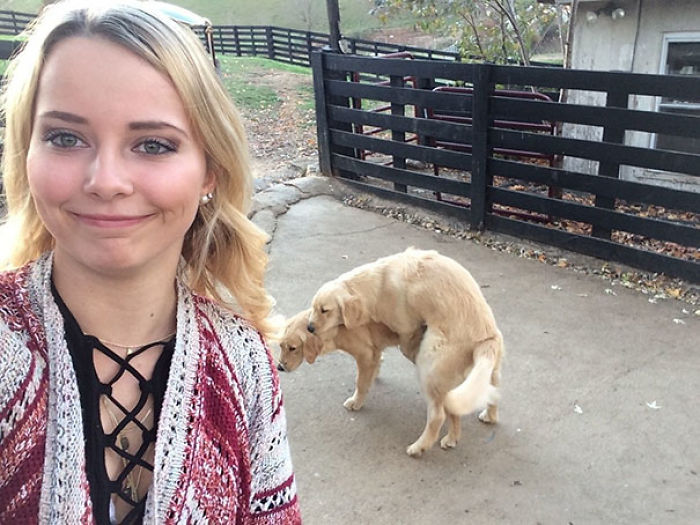 Fui a sacarme una selfie con los perros y...