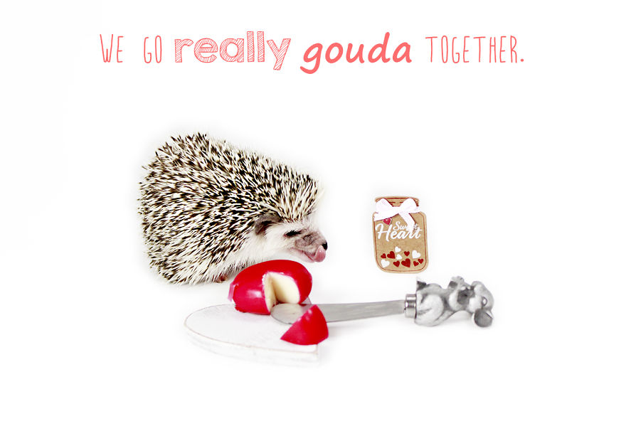 A 'berry' Hedge-'hug' Valentine's Day!