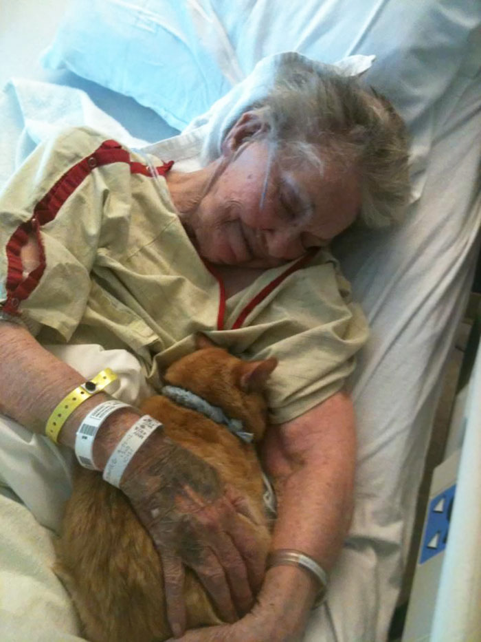 Her Dying Wish Was To See Her Best Friend, Oliver The Cat, One Last Time To Say Goodbye