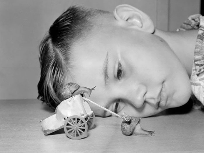 Ten-Year-Old Martin Witter Watches Two Snails Race In His Home In Lynwood, California, 1954