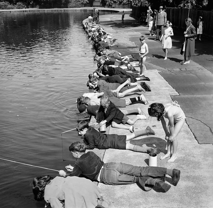 Children Fishing In Victoria Park, London, 1953