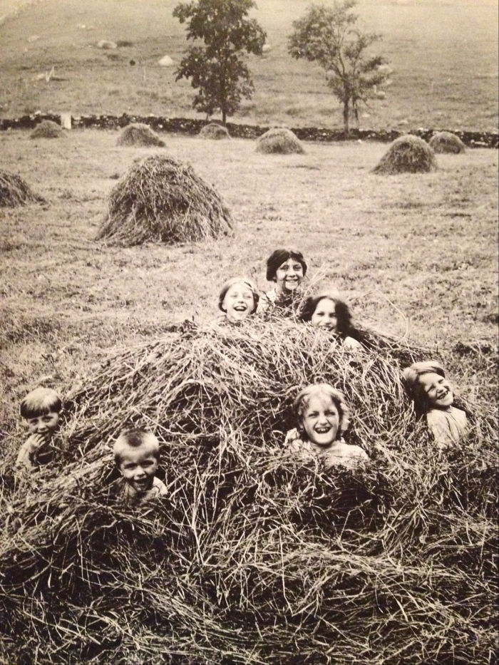 A Group Of Children In The Middle Of A Haystack In A Field In Pawling, New York, Early 20th Century
