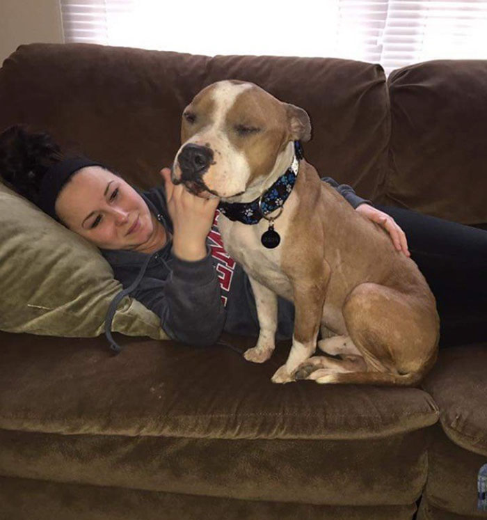 Woman Adopts A Pitbull, And The Dog Can't Stop Hugging Her