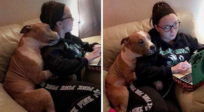 Woman Adopts A Pitbull, And The Dog Can’t Stop Hugging Her