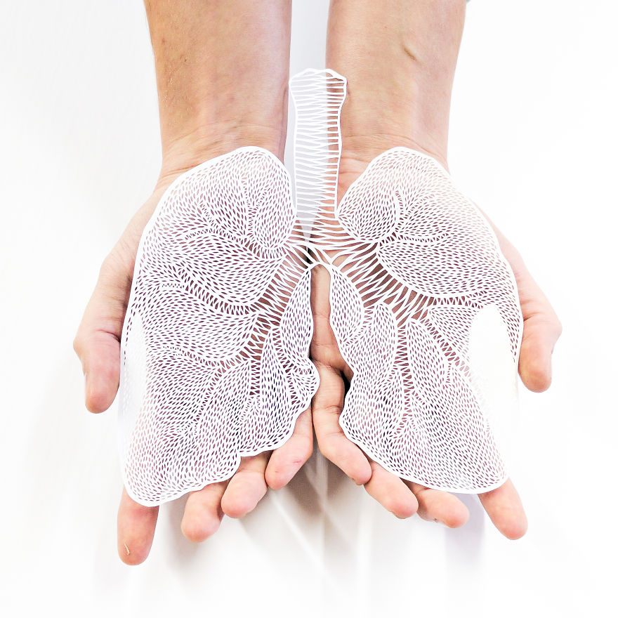 I Hand-Cut Anatomical Organs Out Of Paper