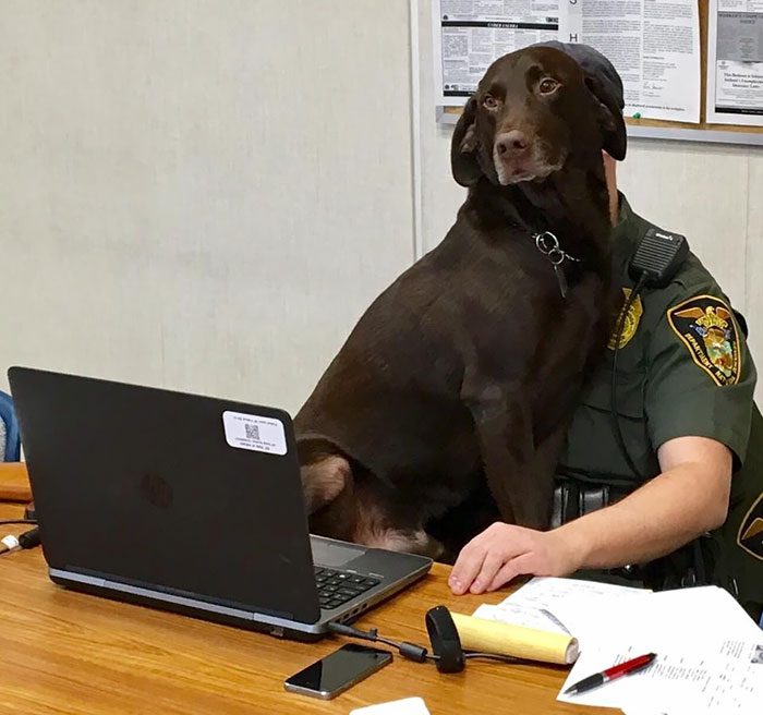 K9 Won't Stop Kissing His Partner During Official Photo Shoot, Then Finally Does A Serious One