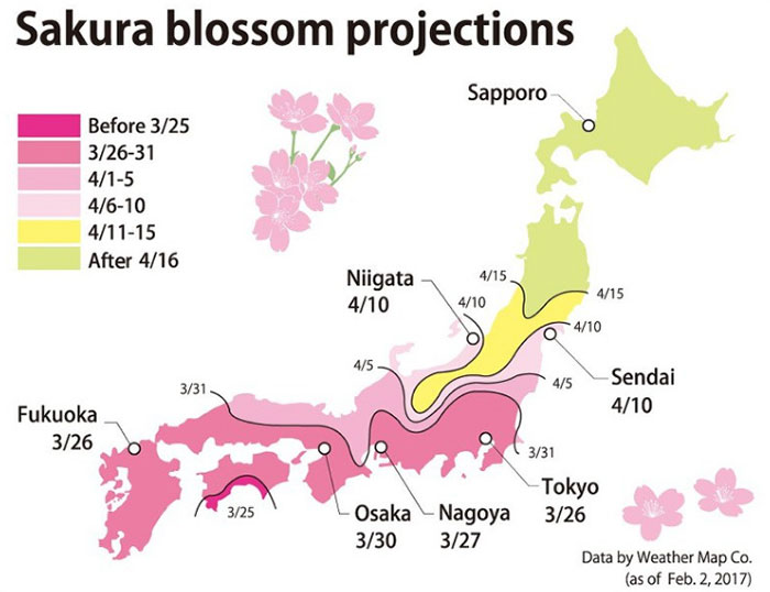 kawazu-cherry-blossoms-shizuoka-japan-12