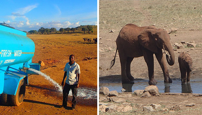 Every Day This Man Drives Hours In Drought To Provide Water To Thirsty Wild Animals