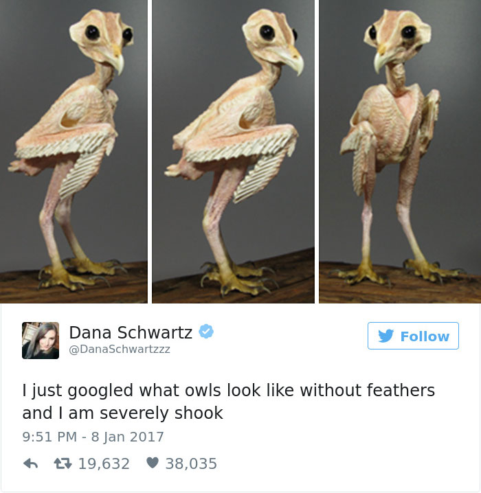No Wonder Owls Are Behind A Number Of Cryptids, They're Scary!