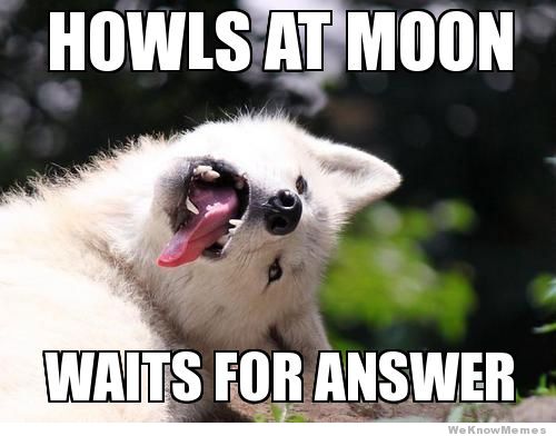 moon-moon-meme-howls-at-moon-5893d2300c0d6.jpg