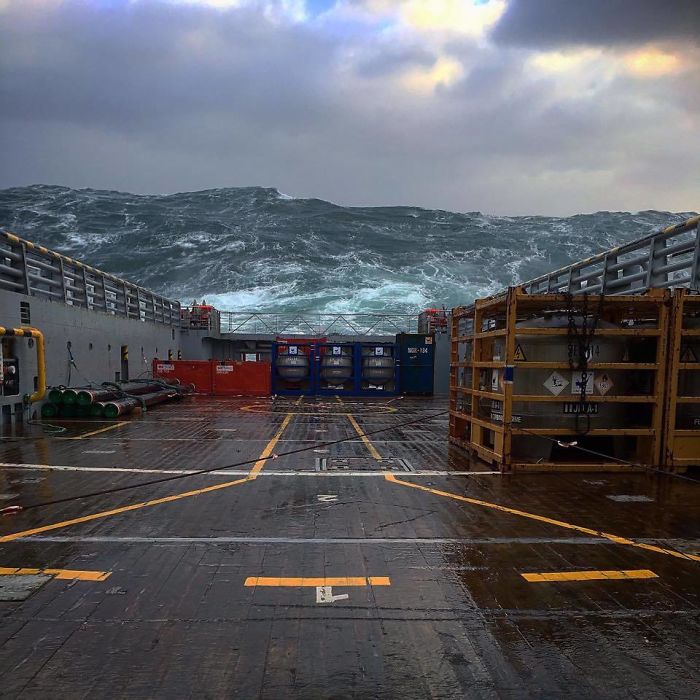 Extreme Waves In The North Sea