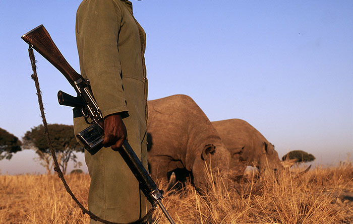 Para proteger a los rinocerontes este Parque Nacional simplemente dispara a la gente (50 cazadores furtivos muertos hasta ahora)