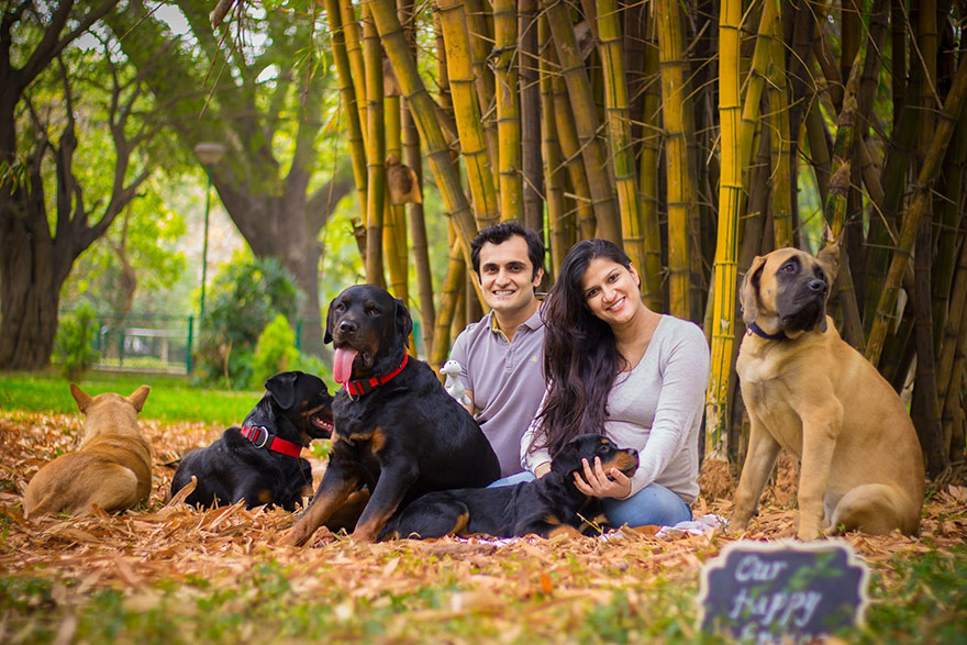 This Pregnant Couple Was Told To Get Rid Of Their Dogs, And This Is What They Did In Response