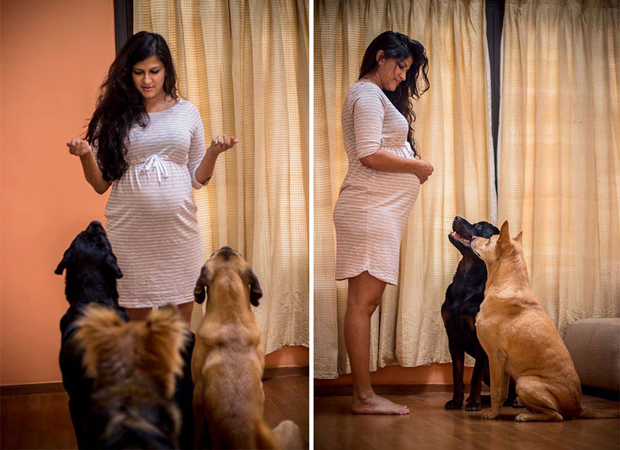 This Pregnant Couple Was Told To Get Rid Of Their Dogs, And This Is What They Did In Response