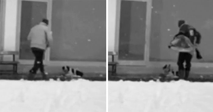 Security Cams Just Caught A Man Doing The Sweetest Thing For A Freezing Homeless Dog