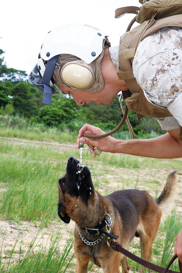 A Dog Handler Gives His Military Working Dog, Rroger, A Drink From His Own Water Source