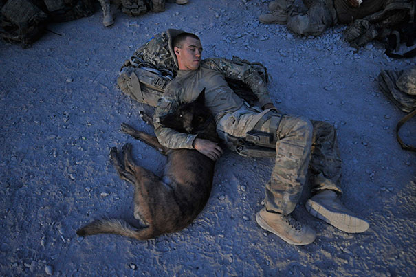 U.S. Army Specialist Justin Coletti Of Us Forces Afghanistan K-9 Combat Tracker Team Resting With Dasty, A Belgian Malinois At An Airfield