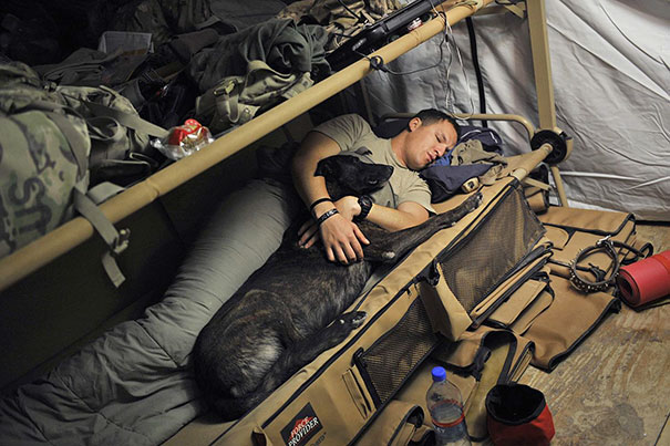 U.S. Army Sergeant Nathan Arriaga Of The Us Forces Afghanistan K-9 Unit, Sleeping With Zzarr, A 6-Year Old Dutch Shepherd