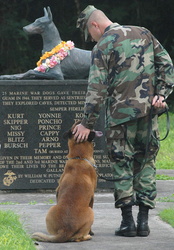 U.S. NAVY Petty Officer Blake Soller And His Military Working Dog Rico Pay Tribute To The National War Dog Cemetery