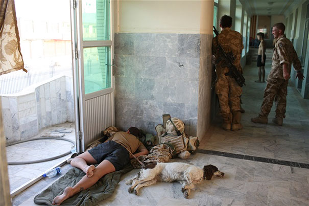 British Soldier From The Royal Army Veterinary Corp LCPL Marianne Hay And Her Arms And Explosive Search Dog, Leanna