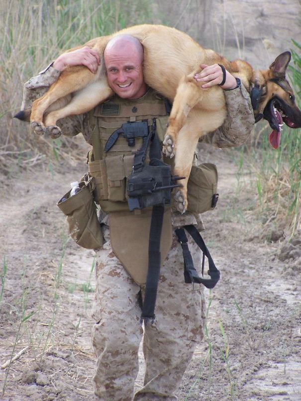 Marine Carries His Partner Back To The Kennels After A Grueling Two-Hour Search
