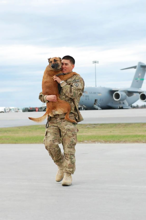 Spc. Chavez And MWD Anouska Returning From Afghanistan