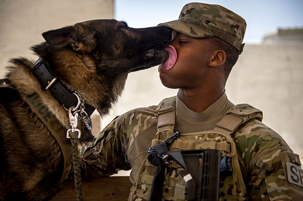Sgt. Mark Bush Gets Affectionately Licked By His Dog, Xarius