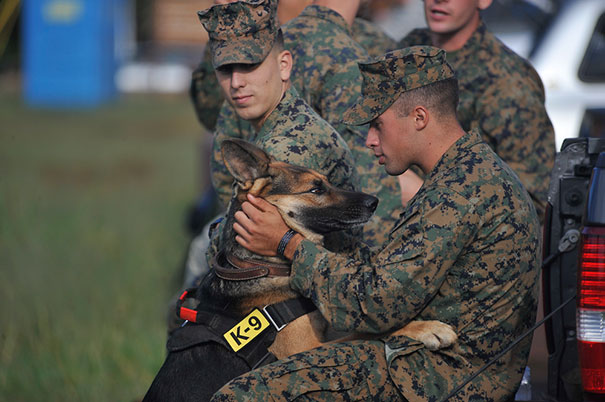 A Marine Embraces His Military Working Dog