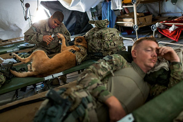 Sergeant Bourgeois Clips Oopey’s Toenails Before A Mission In Afghanistan