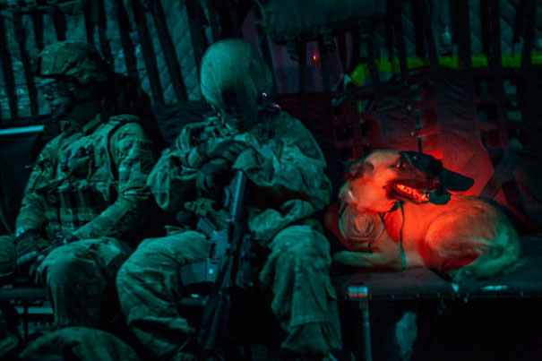In Afghanistan A Helicopter Transports An Ied-Detecting Belgian Malinois Named Oopey, Sitting Next To His Handler