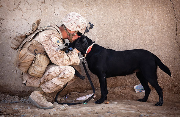 U.S. Marine Cpl. Kyle Click Shares A moment With His Dog Windy While Waiting To Resume A Security Patrol