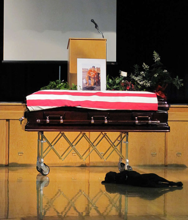 Labrador Retriever Hawkeye Lays By The Casket During The Funeral Of His Owner, Navy SEAL Jon Tumilson