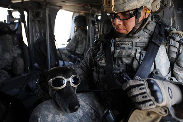 Staff Sgt. Philip Mendoza Pets His Military Working Dog, Rico, Wearing "Doggles," During Training Aboard A Helicopter