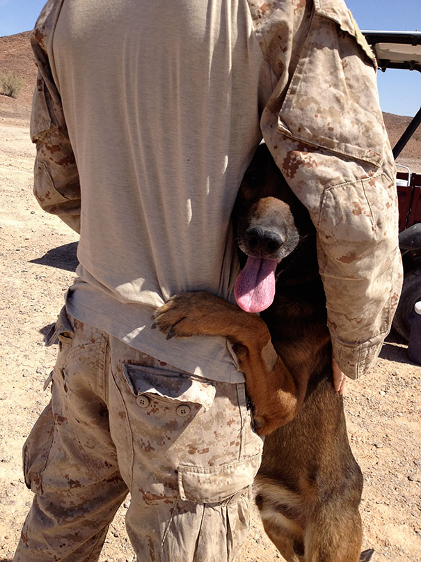 Combat Tracker Dog Lex - Who Loves Attention - Enjoys Some Free Time With His Handler, Marine Lance Corporal, John Peeler