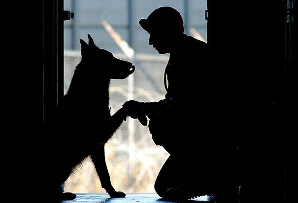 Senior Airman Gregory Darby, A Military Working Dog Handler, Shares A Quiet Moment With His Dog Mack