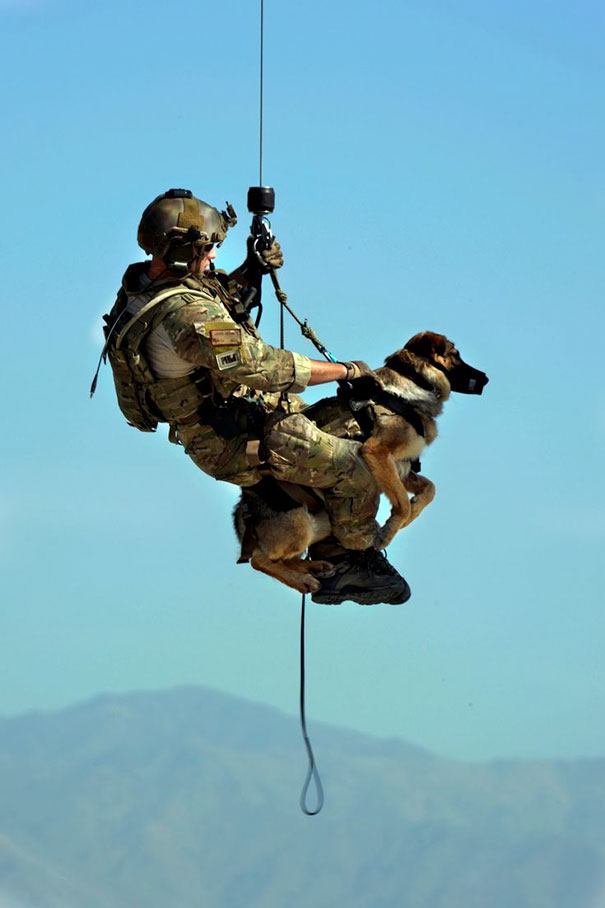 U.S. Air Force Airman 1st Class Jason Fischman Hoists With A U.S. Army Tactical Explosive Detection Dog