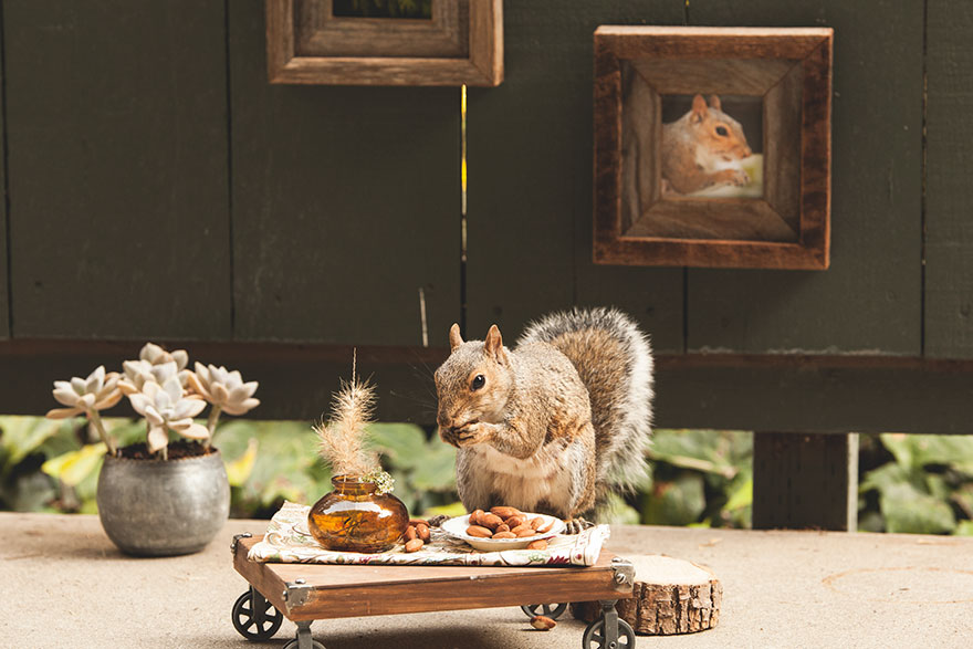 squirrel-parties-ashly-deskins-photography-26
