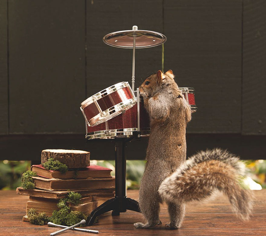squirrel-parties-ashly-deskins-photography-6