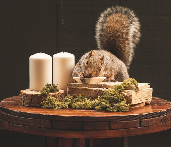 This Woman Throws Miniature Parties For Squirrels Who Come To Visit Her