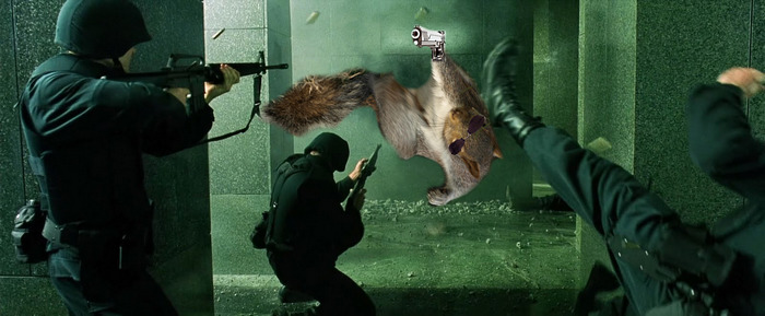 The Squirreltrix