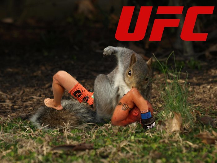 Georges Squirrel Pierre In His Ufc Debut