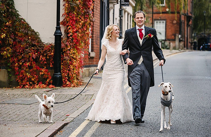 'World's Thinnest Dog' Weighing 6.5lbs Recovers And Walks His Owner Down The Aisle