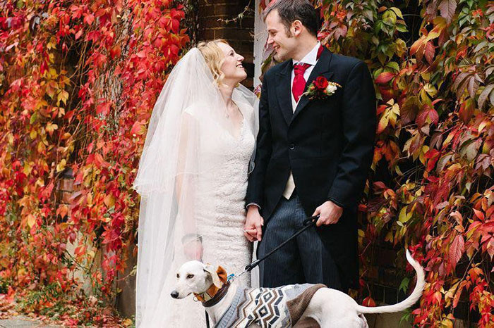 'World's Thinnest Dog' Weighing 6.5lbs Recovers And Walks His Owner Down The Aisle