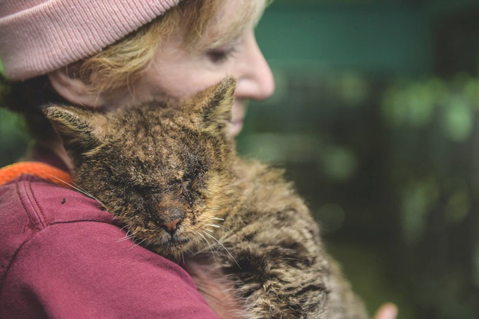 Cat No One Dared To Touch Finally Found A Human Who Hugged Him