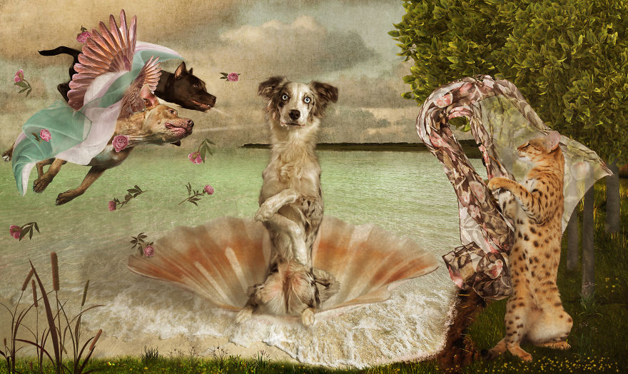 The Strange Worlds Of Dogs And Cats