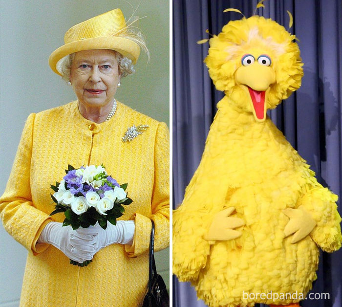 Queen Elizabeth II Or Big Bird From Sesame Street?