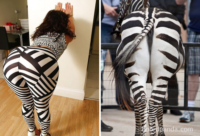 This Lady Or A Zebra?