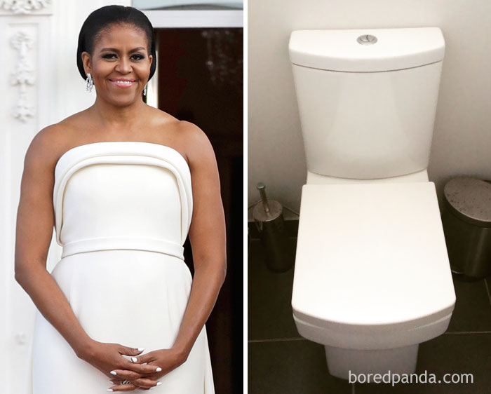 Michelle Obama Or This Toilet?